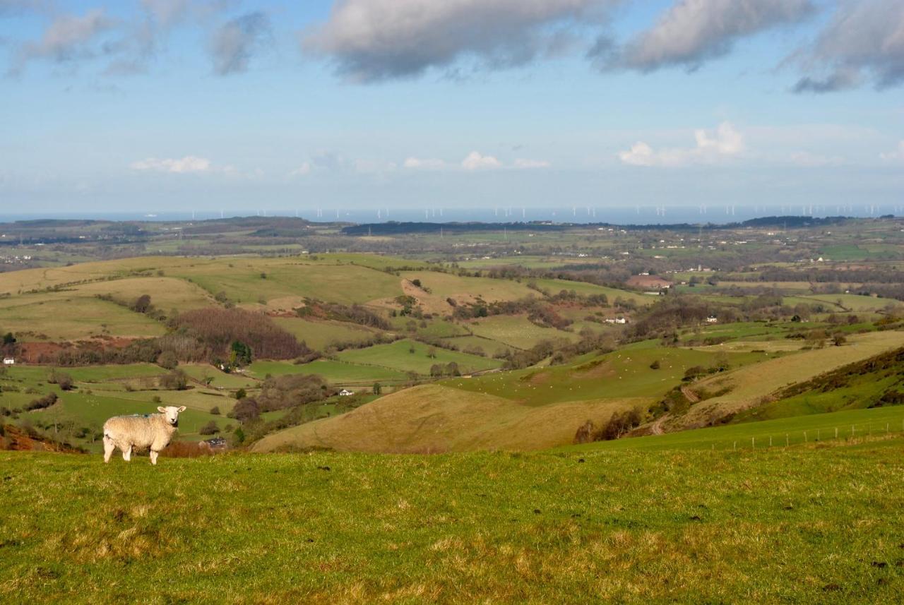 Penbedw Uchaf Estate - Rural Retreats, Tennis โมลด์ ภายนอก รูปภาพ