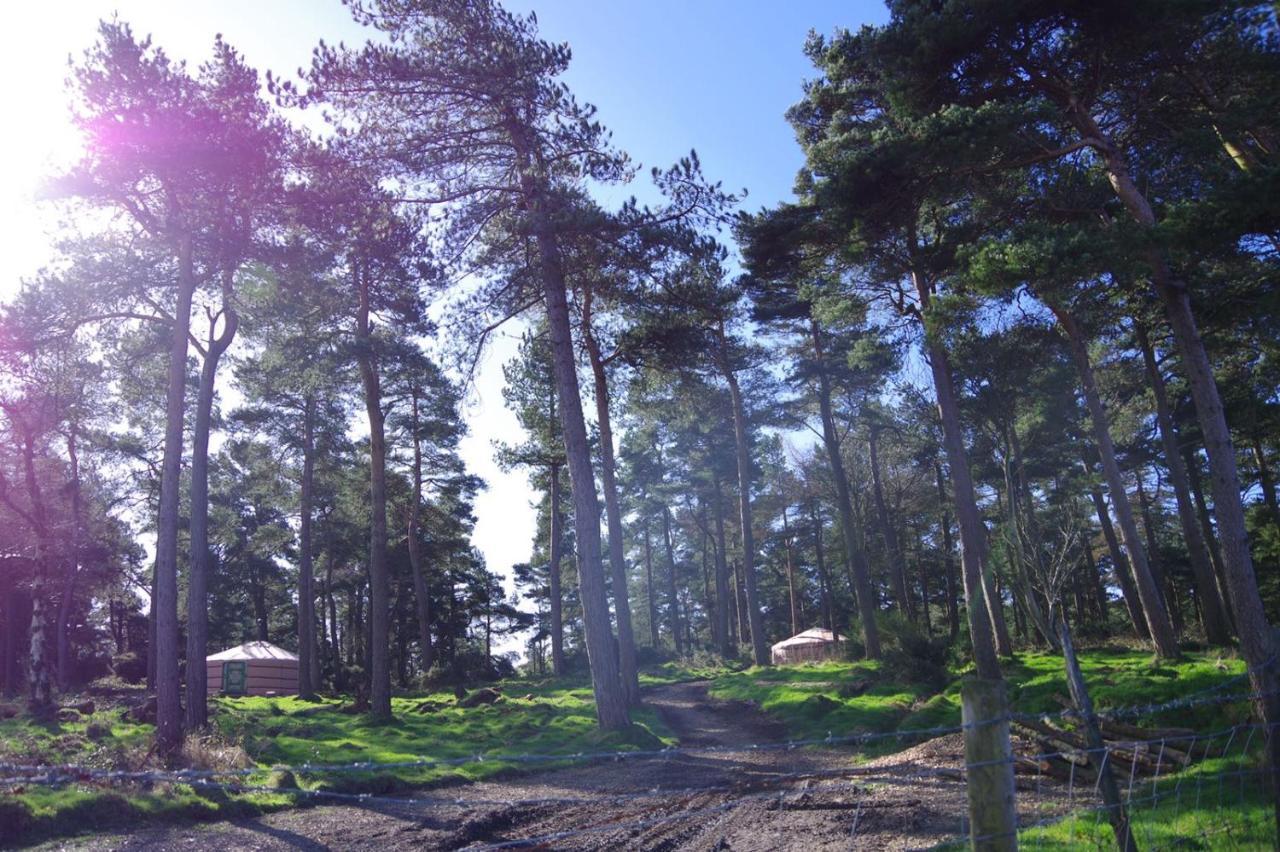 Penbedw Uchaf Estate - Rural Retreats, Tennis โมลด์ ภายนอก รูปภาพ