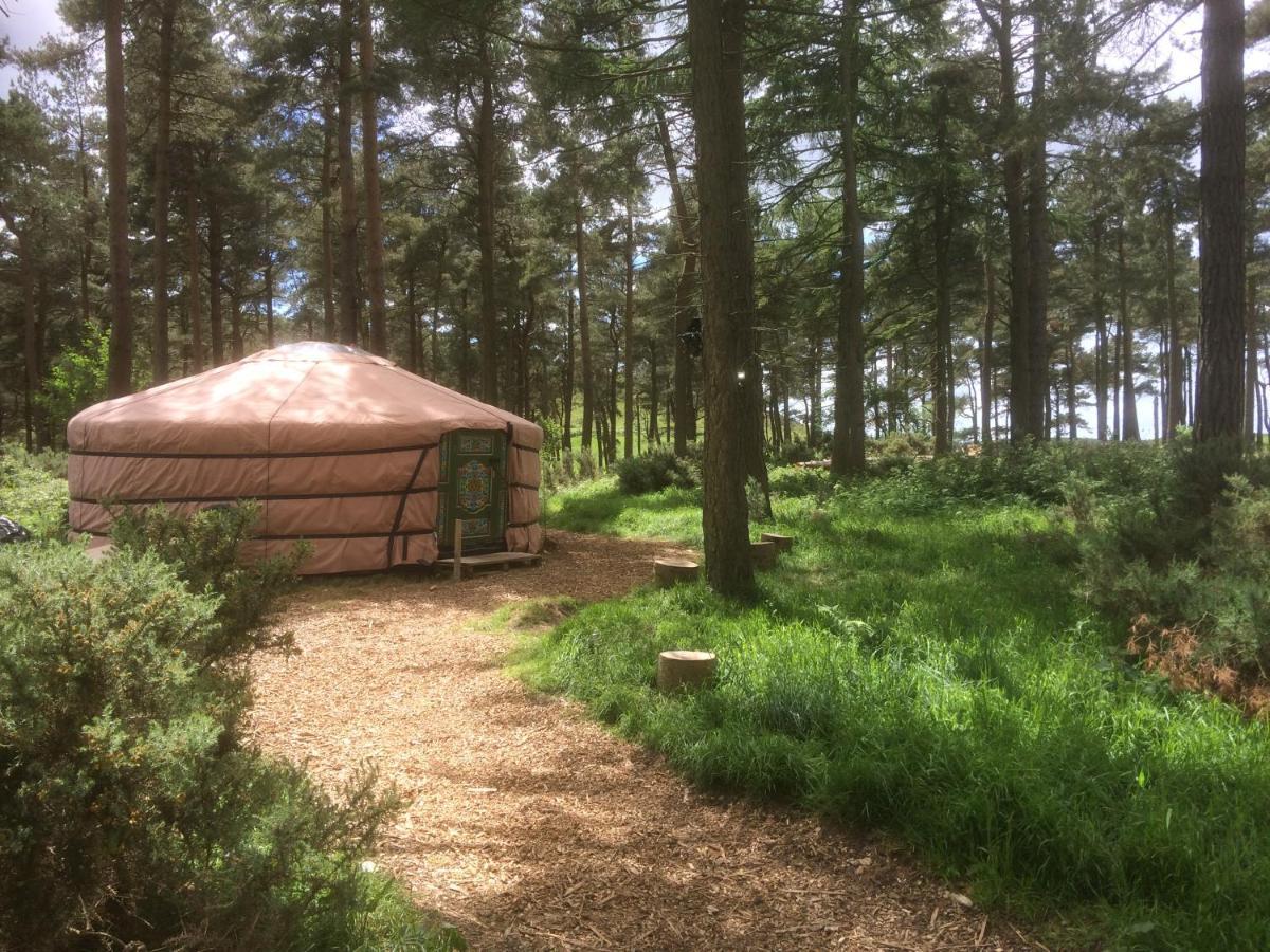 Penbedw Uchaf Estate - Rural Retreats, Tennis โมลด์ ภายนอก รูปภาพ