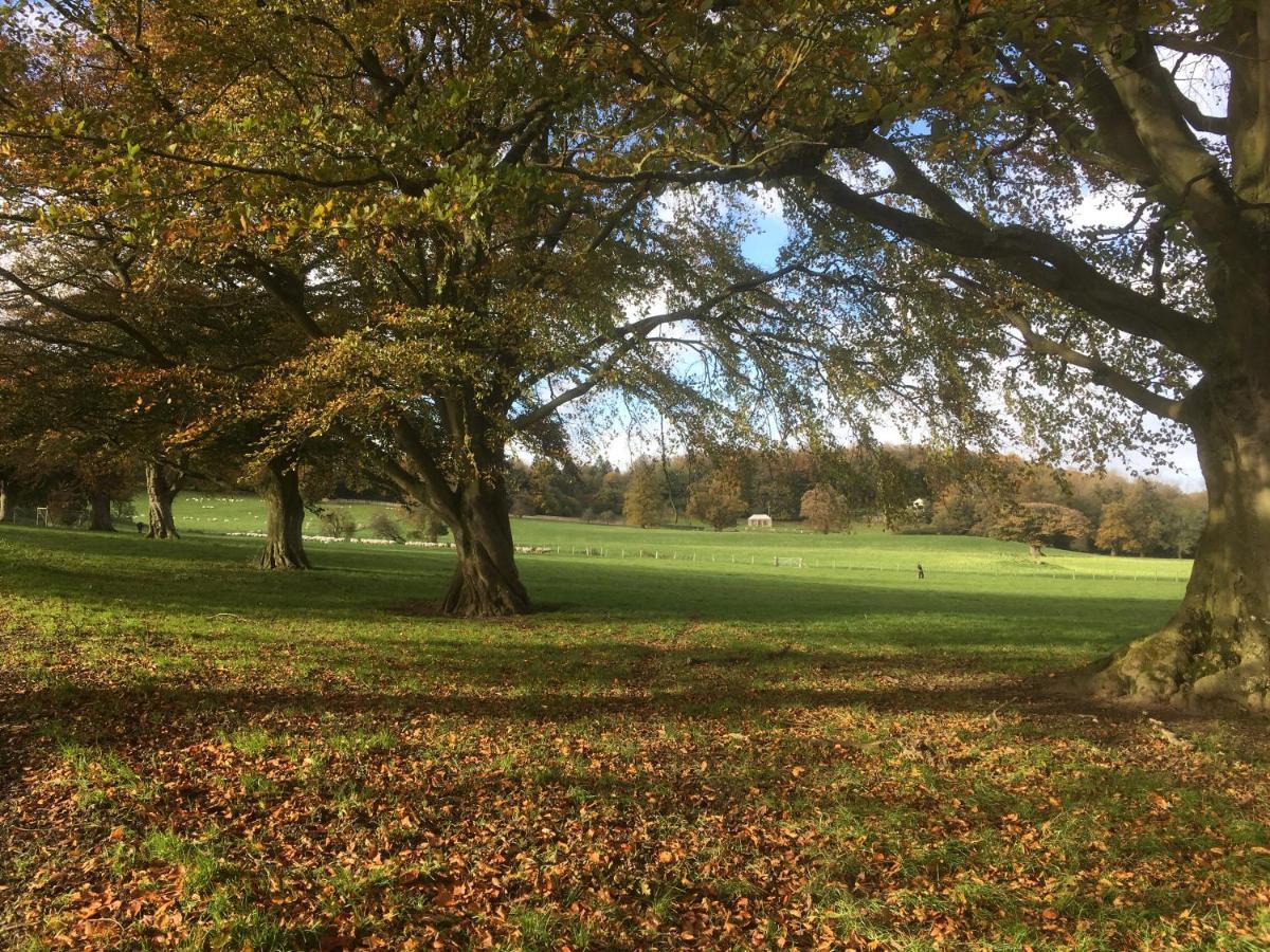 Penbedw Uchaf Estate - Rural Retreats, Tennis โมลด์ ภายนอก รูปภาพ