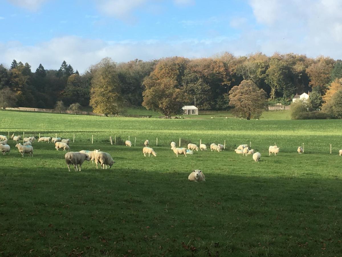 Penbedw Uchaf Estate - Rural Retreats, Tennis โมลด์ ภายนอก รูปภาพ